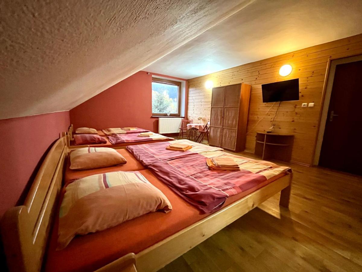 Hotel Penzion Horal Dolní Morava Exteriér fotografie