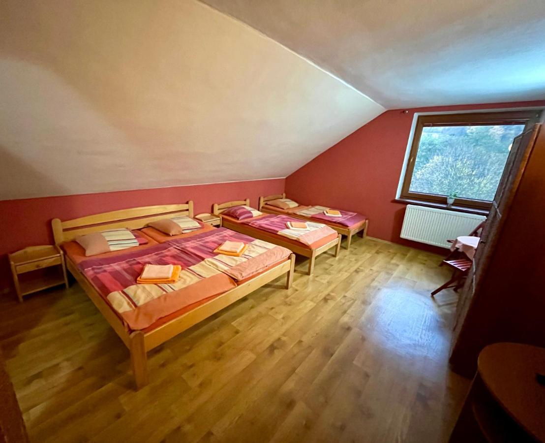 Hotel Penzion Horal Dolní Morava Exteriér fotografie