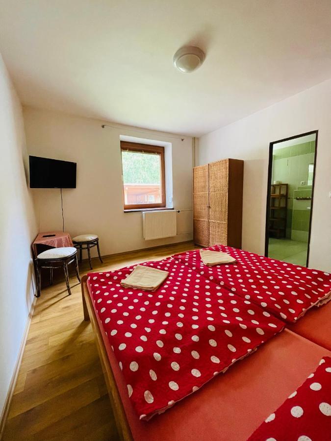 Hotel Penzion Horal Dolní Morava Exteriér fotografie
