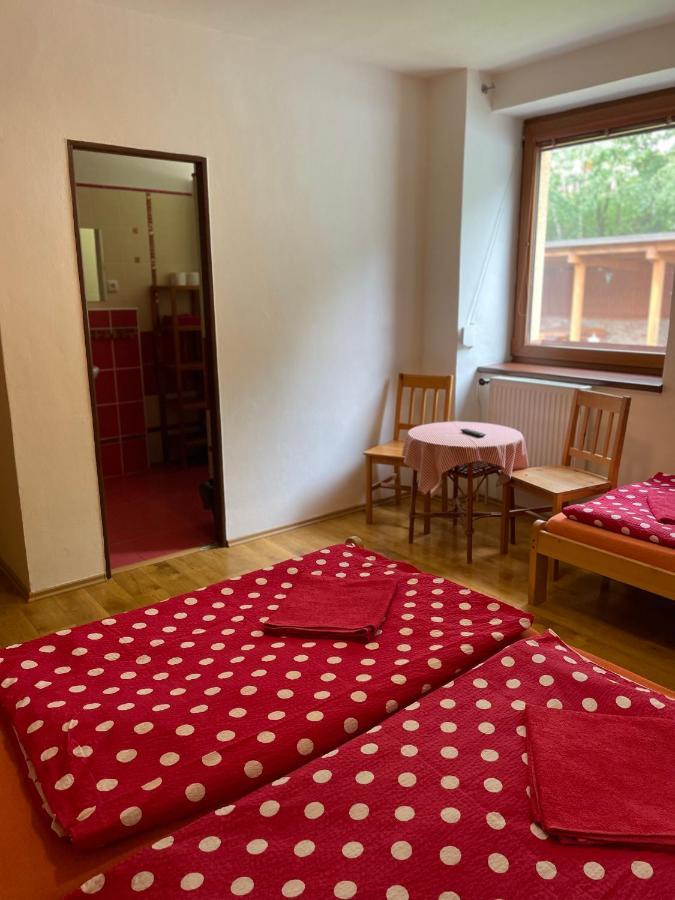 Hotel Penzion Horal Dolní Morava Exteriér fotografie